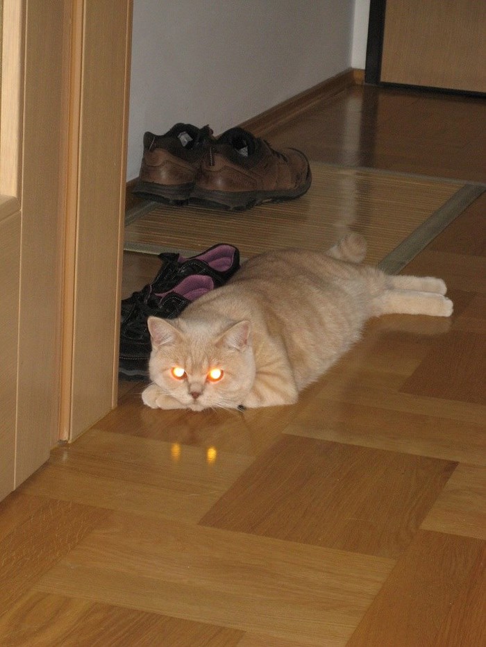 Demonski.jpg