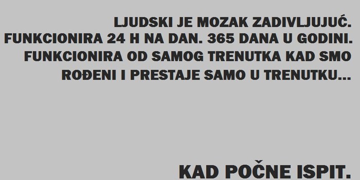 Mozak