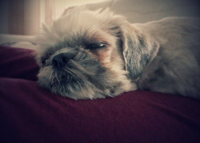 Lazy monday..... 