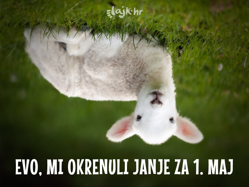 Lajk.hr časti!
