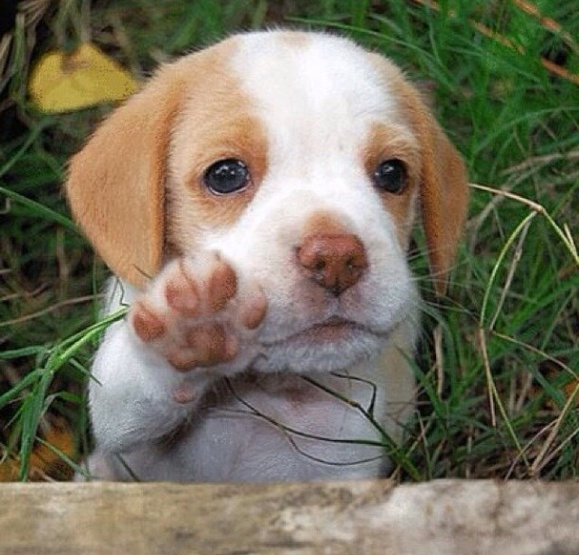 Bokiiić, vidimo se kasnije.. zar ne? Reci da da!