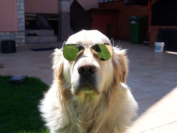 Lux vam želi sretno i toplo ljeto <3