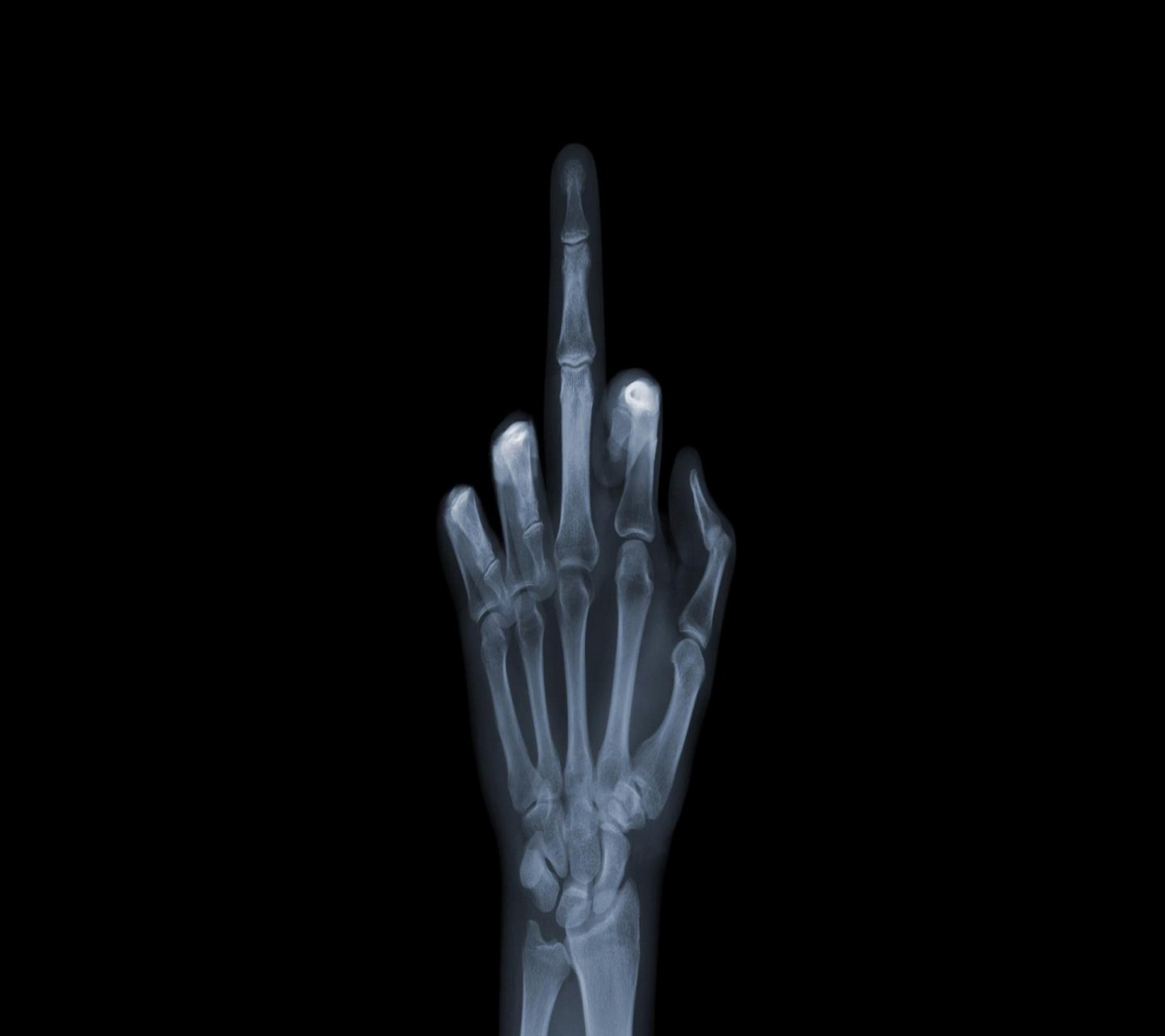 Middle Finger_137.jpg