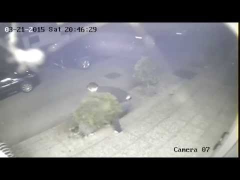 Tri pijana idiota protiv dva dekorativna čempresa