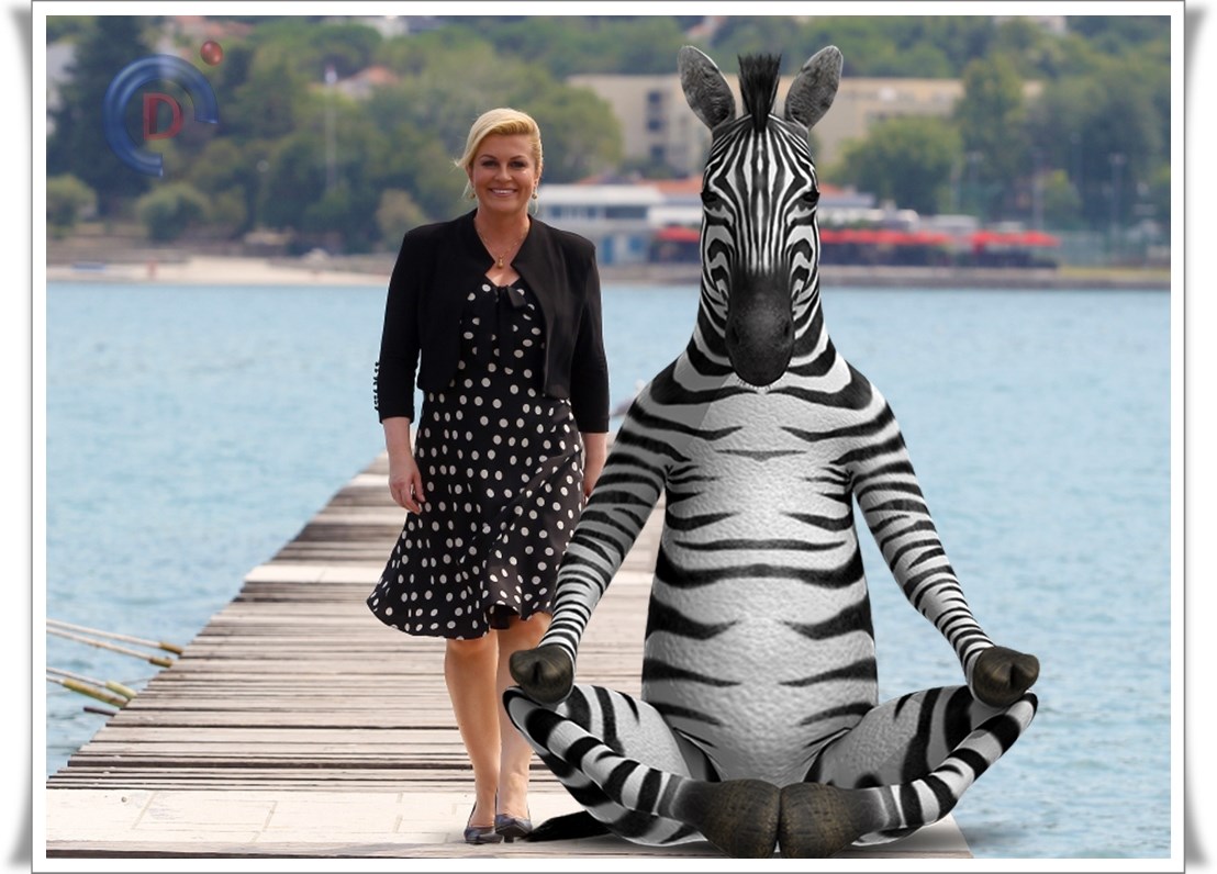 Bilateralni susret (selfie)