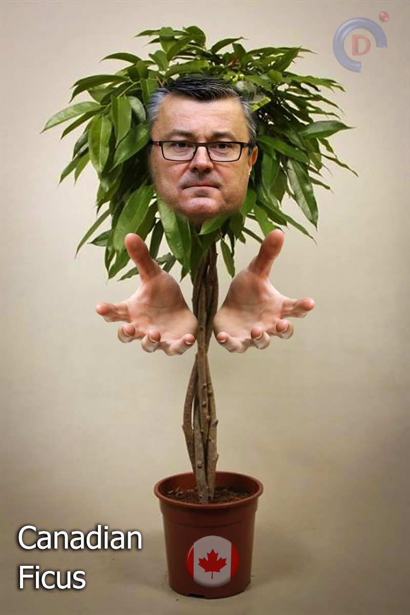 Nova podvrsta fikusa...