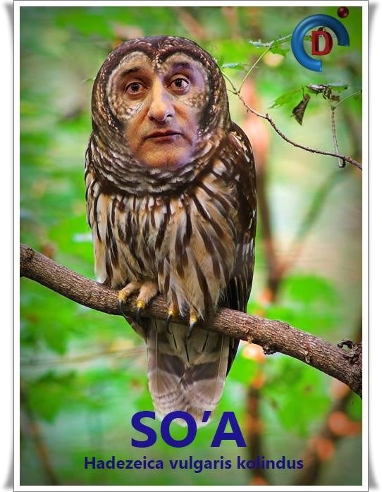 Rugala se SO'A sjenici....