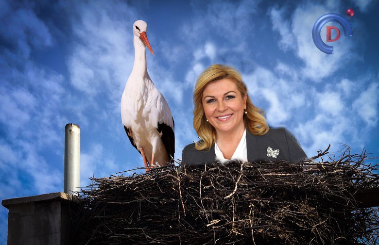 Klepetuša željna pažnje okupirala gnijezdo Malene i Klepetana!