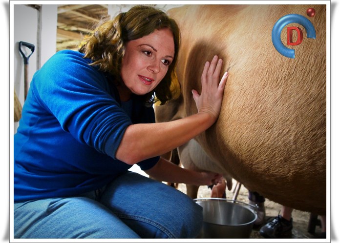 Kolinda: U NATO-u sam bila jedina koja zna pomusti kravu