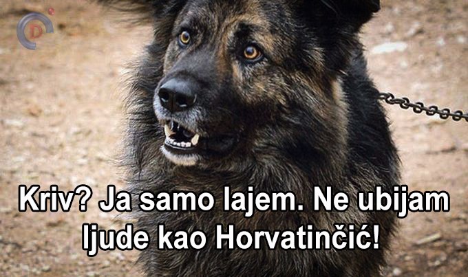 Svi smo mi Medo!