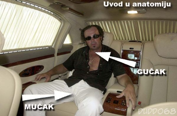 Znate li što je gučak?