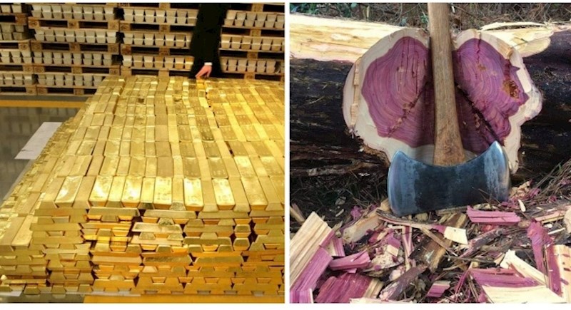 15 jedinstvenih fotografija koje će vam izazvati znatiželju