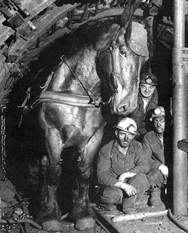 Francuski rudari s konjem za vuču, 1940.