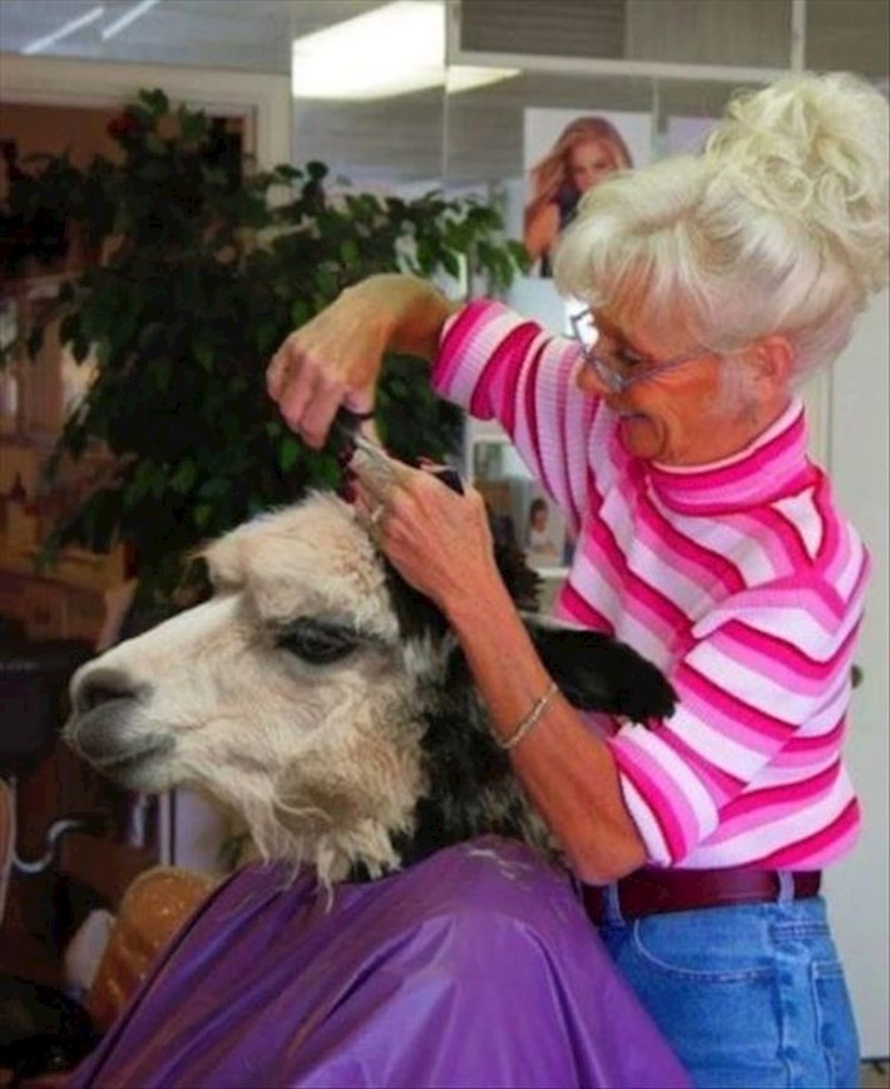 "Samo malo skratite!" :)