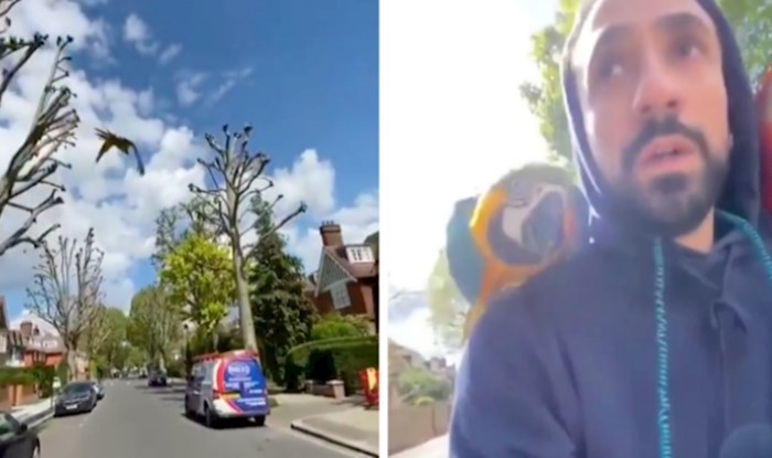 VIDEO Njegove papige svakodnevno lete uokolo dok se on vozi biciklom