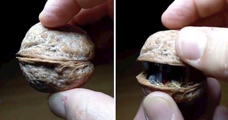 Pogledajte kako je cijeli Božić uspio stati u ovaj orah