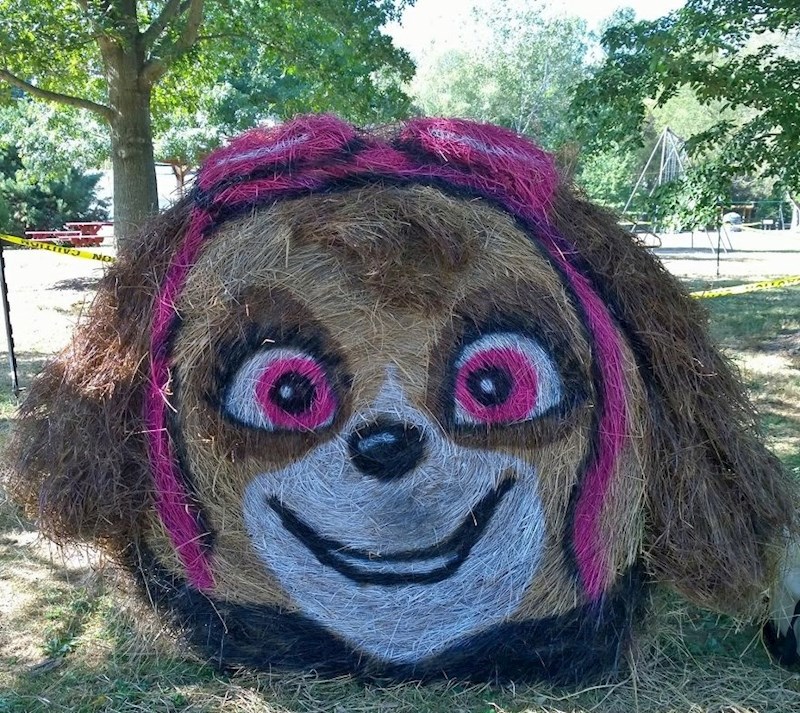 Skye iz crtanog filma „Paw Patrol"