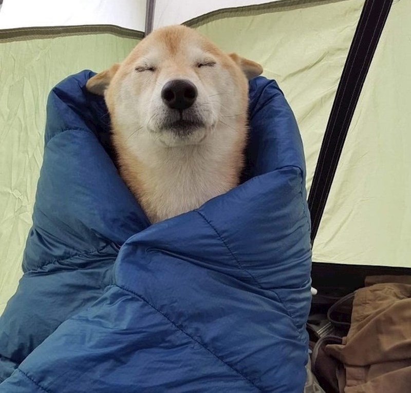 Idite planinariti. Udahnite svježi zrak i uživajte u toplom šatoru.