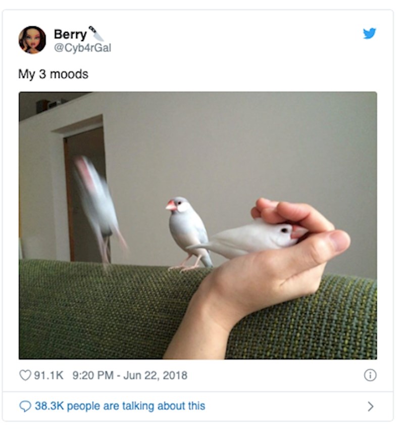 10. Njihovo se raspoloženje može promijeniti bez ikakvog razloga.