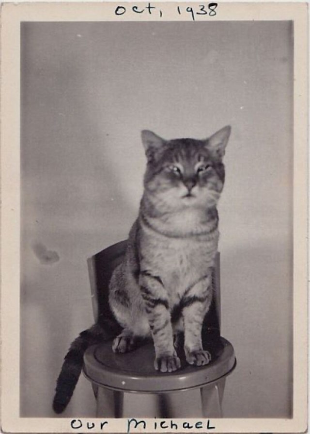 “Naš Michael”, 1938. godine
