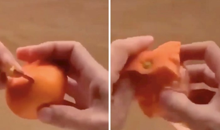 Pogledajte kako uz malo truda i strpljenja možete napraviti nevjerojatan oblik od kore mandarine