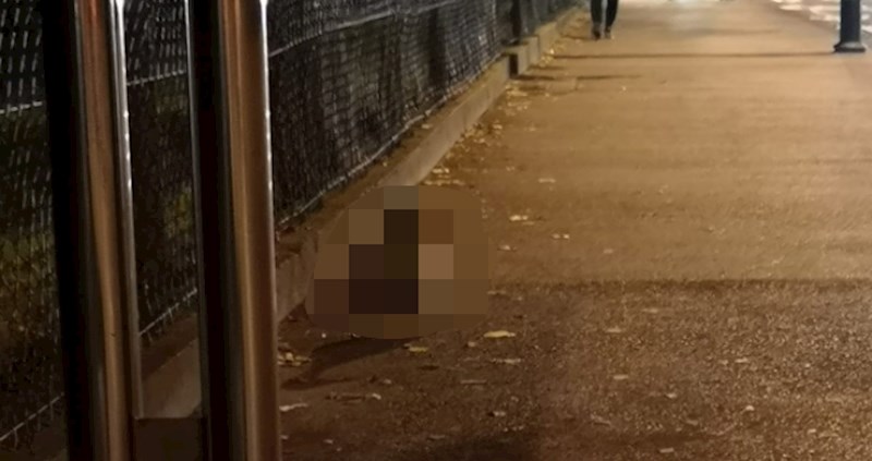 U Zagrebu na tramvajskoj stanici uvijek očekujte neočekivano