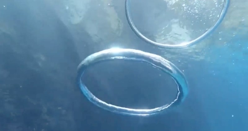 Pogledajte kako izgleda trenutak kada se sudare dva prstena mjehurića