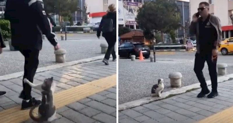 VIDEO Mačka lutalica napada svakog tko prođe ovom ulicom; ne bi nam bilo svejedno ovdje proći