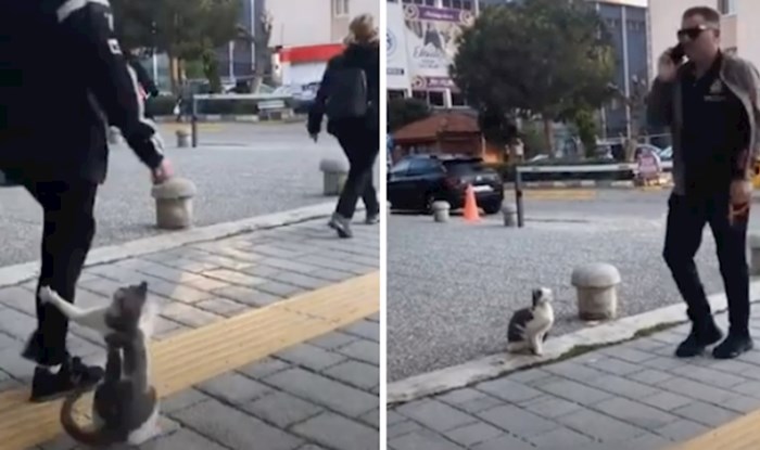 VIDEO Mačka lutalica napada svakog tko prođe ovom ulicom; ne bi nam bilo svejedno ovdje proći