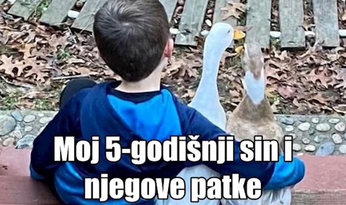 20 fotki koje dokazuju da pravo prijateljstvo ne poznaje granice