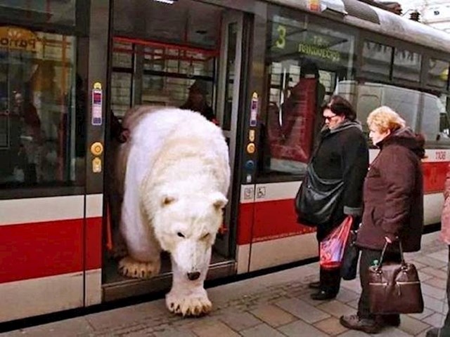 Ovog polarnog medvjeda zapravo pokreću dva čovjeka unutar kostima, a napravljen je kako bi podigao svijest o globalnom zatopljenju.