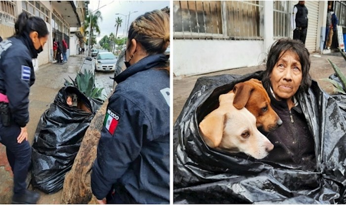 Beskućnica uočena u vreći za smeće, kaže kako ne želi napustiti svoje pse