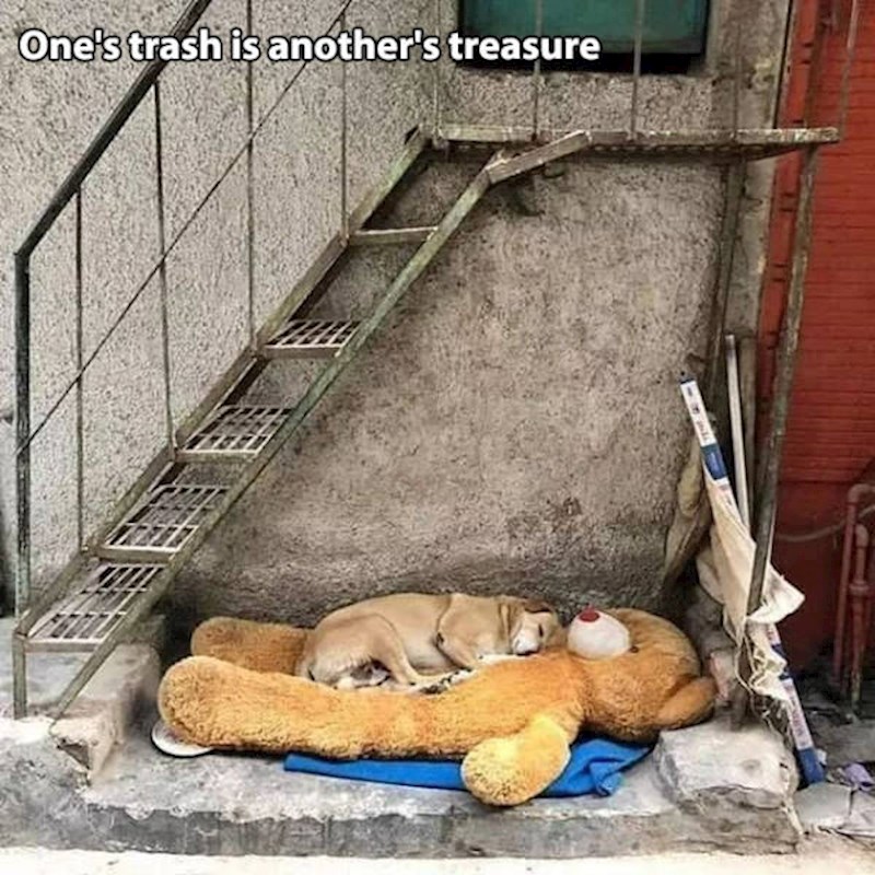 #2 Ono što je nekome otpad drugom je blago!