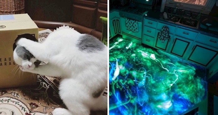 15 fotografija objavljenih na Redditu u 2019. godini koje su ostale misterija