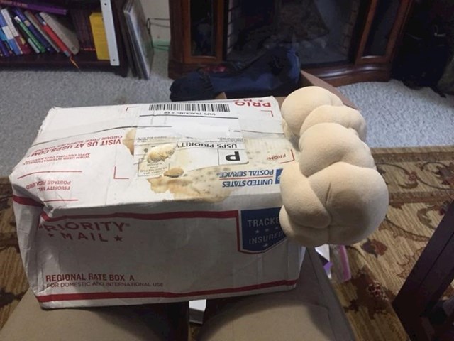 17. Ova osoba naručila je komplet za uzgoj gljiva. Pošta ga je zagubila na 2 mjeseca prije nego ga je napokon dostavila. Stigao je ovakav.