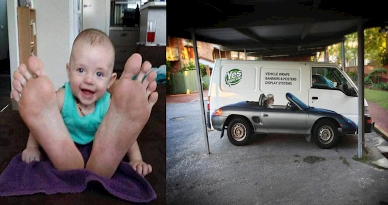 15 fotografija koje će vas dovesti do krivog zaključka