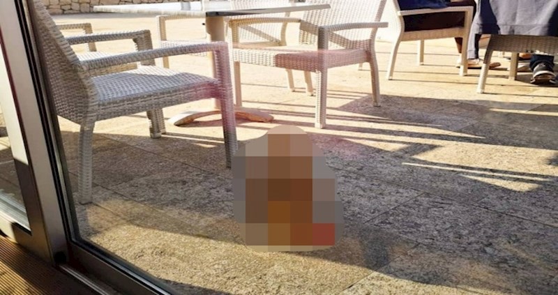 U ovaj hrvatski kafić dolaze neobični gosti