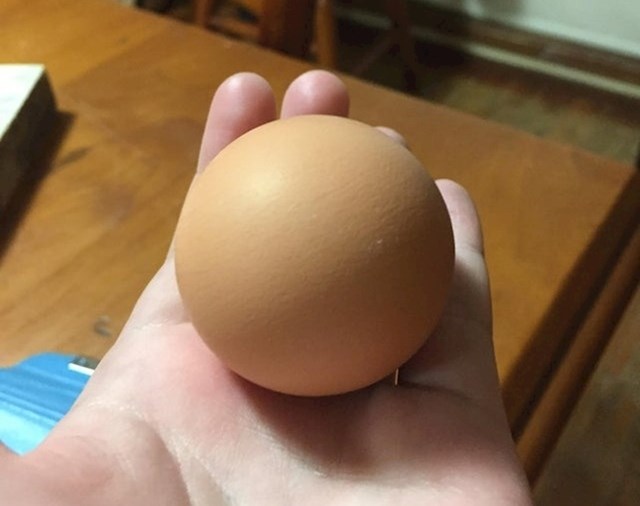 „Moja kokoš prije nekoliko mjeseci položila je okruglo jaje."