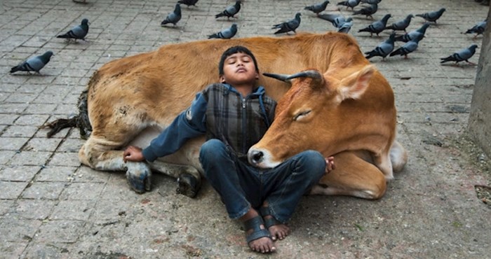 15 zadivljujućih fotografija Stevea McCurryja koje istražuju zamršen odnos životinja i ljudi