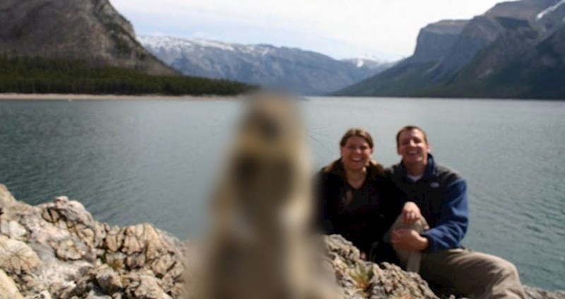 Netko je svu pažnju uspio svaliti samo na sebe