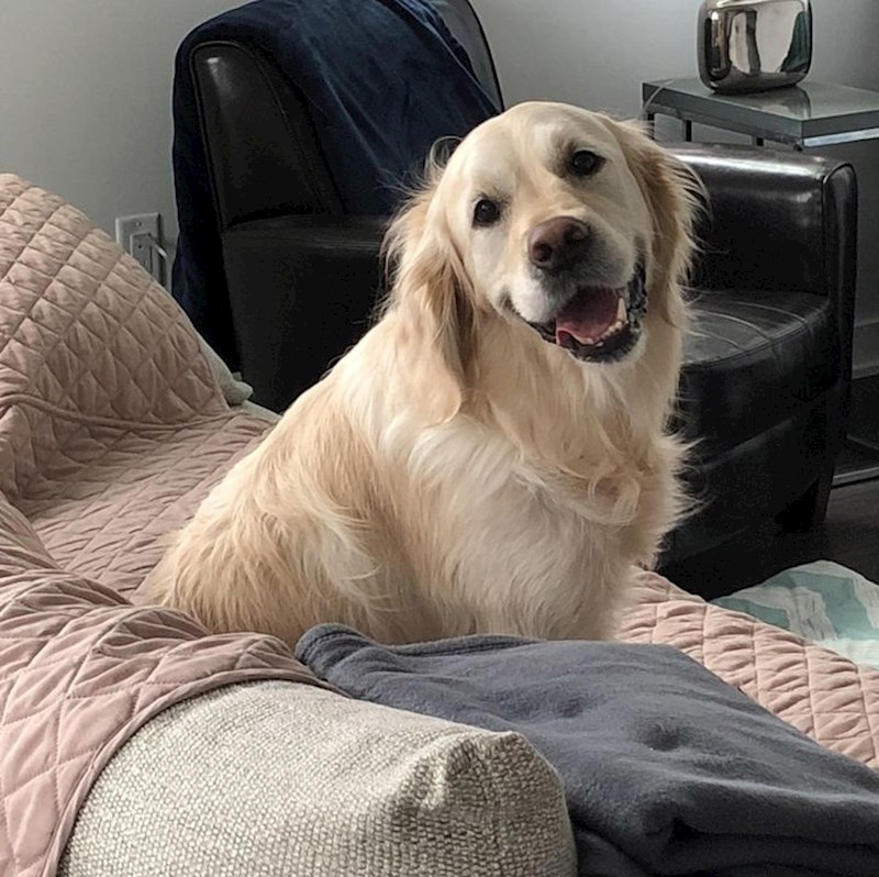 “Ponekad je uhvatim kako samo gleda u mene i smiješi se. Ona je moja dragocjena ljubav. "