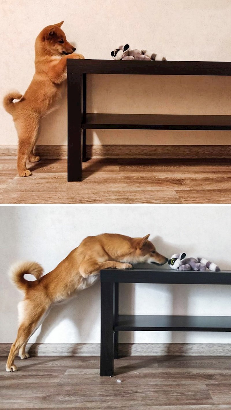 Navike se ne mijenjaju, čak ni s godinama.