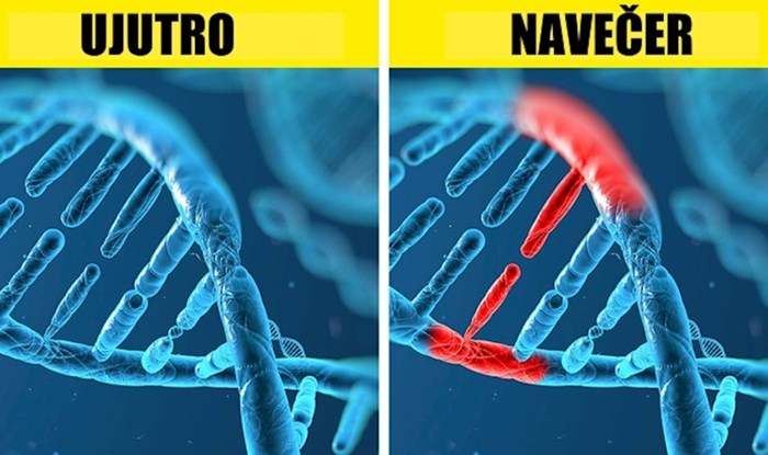 10 zanimljivih činjenica o genima koje objašnjavaju čitav naš život