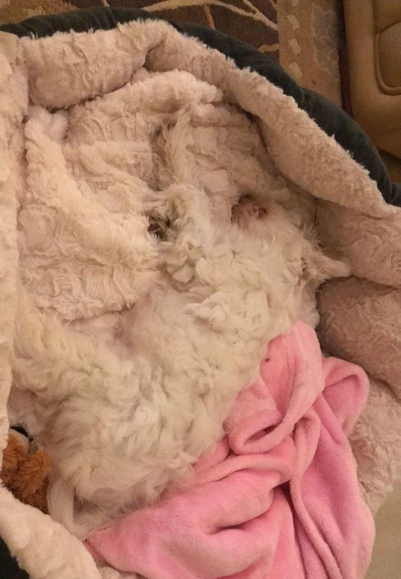 "Da, kupili smo krevet jer joj odgovara."