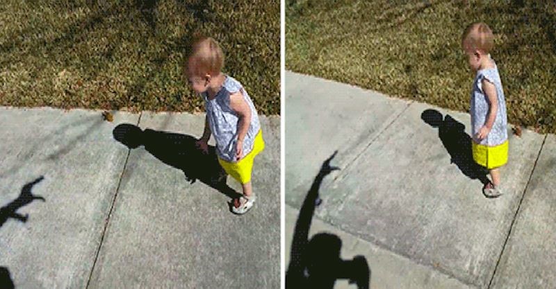 Pogledajte što će se dogoditi kada ova djevojčica primijeti sjenu pred sobom