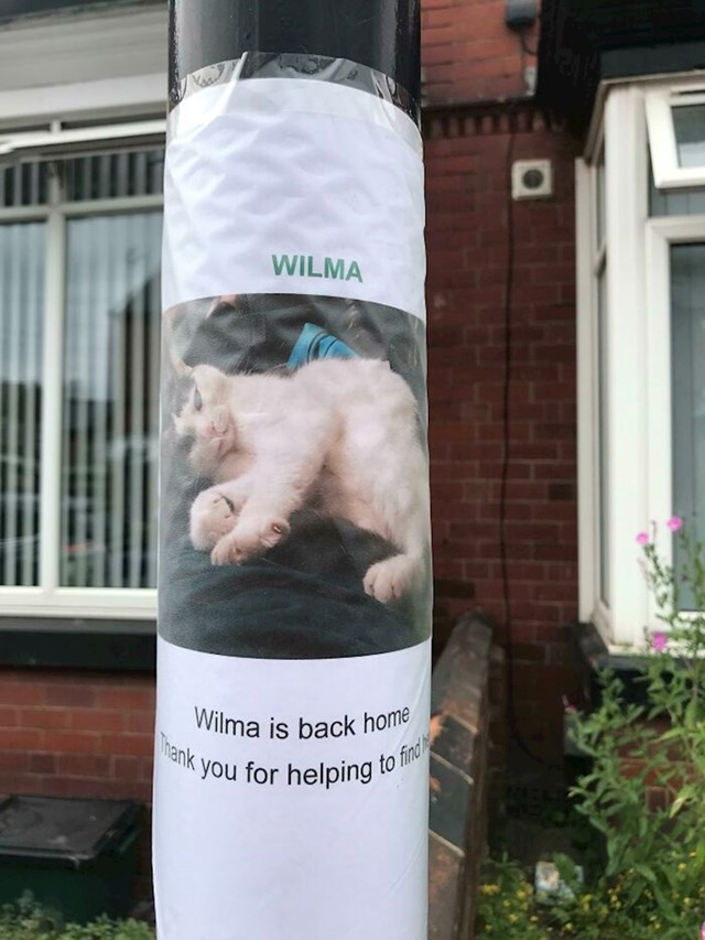 "Vlasnik nestale mačke postavio je dodatne plakate nakon što je pronašao svoju mačku!"