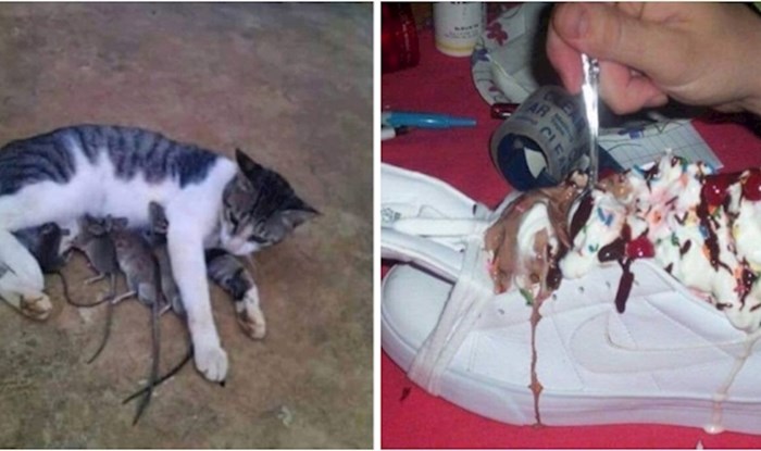 12 bizarnih fotki za koje ne postoji primjereno objašnjenje