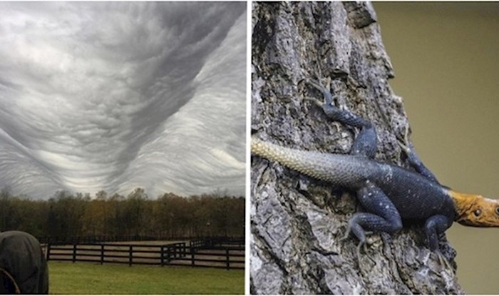 15 fotografija na kojima je priroda napravila puno bolji posao od Photoshopa