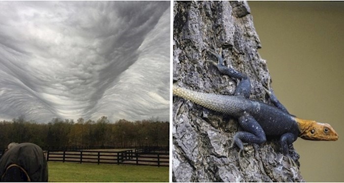 15 fotografija na kojima je priroda napravila puno bolji posao od Photoshopa