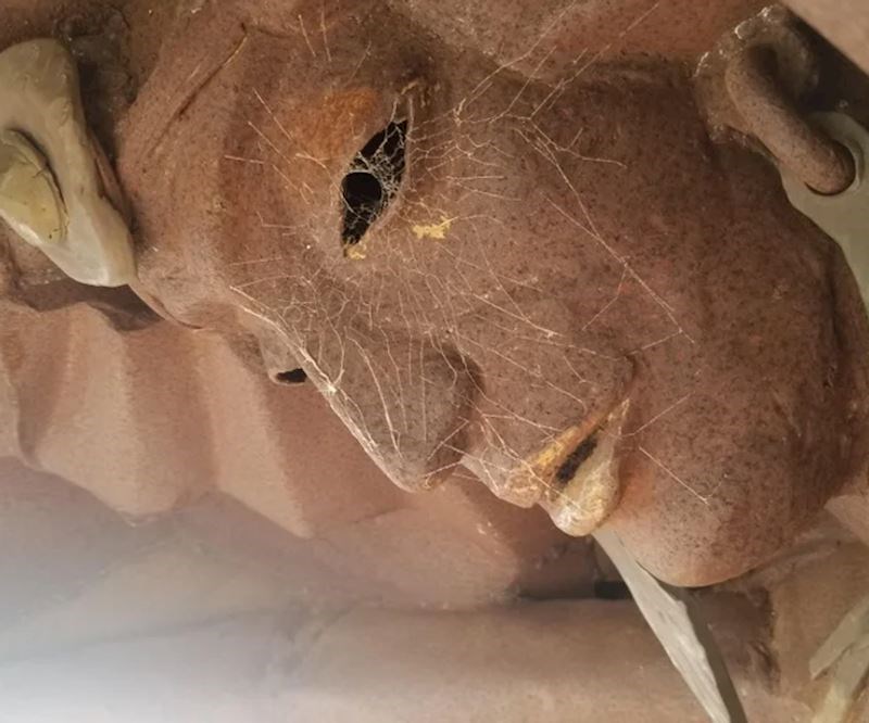 "Vidio sam da je pauk napravio mrežu na savršenom mjestu."